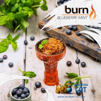Заказать кальянный табак Burn Blueberry Mint (Берн Черника Мята) 100г онлайн с доставкой всей России - фото 1 Заказать кальянный табак Burn Blueberry Mint (Берн Черника Мята) 100г онлайн с доставкой всей России - фото 1